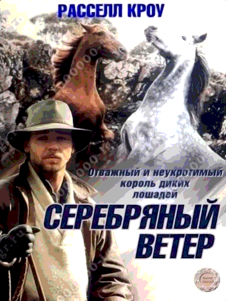 Серебряный ветер (1993)